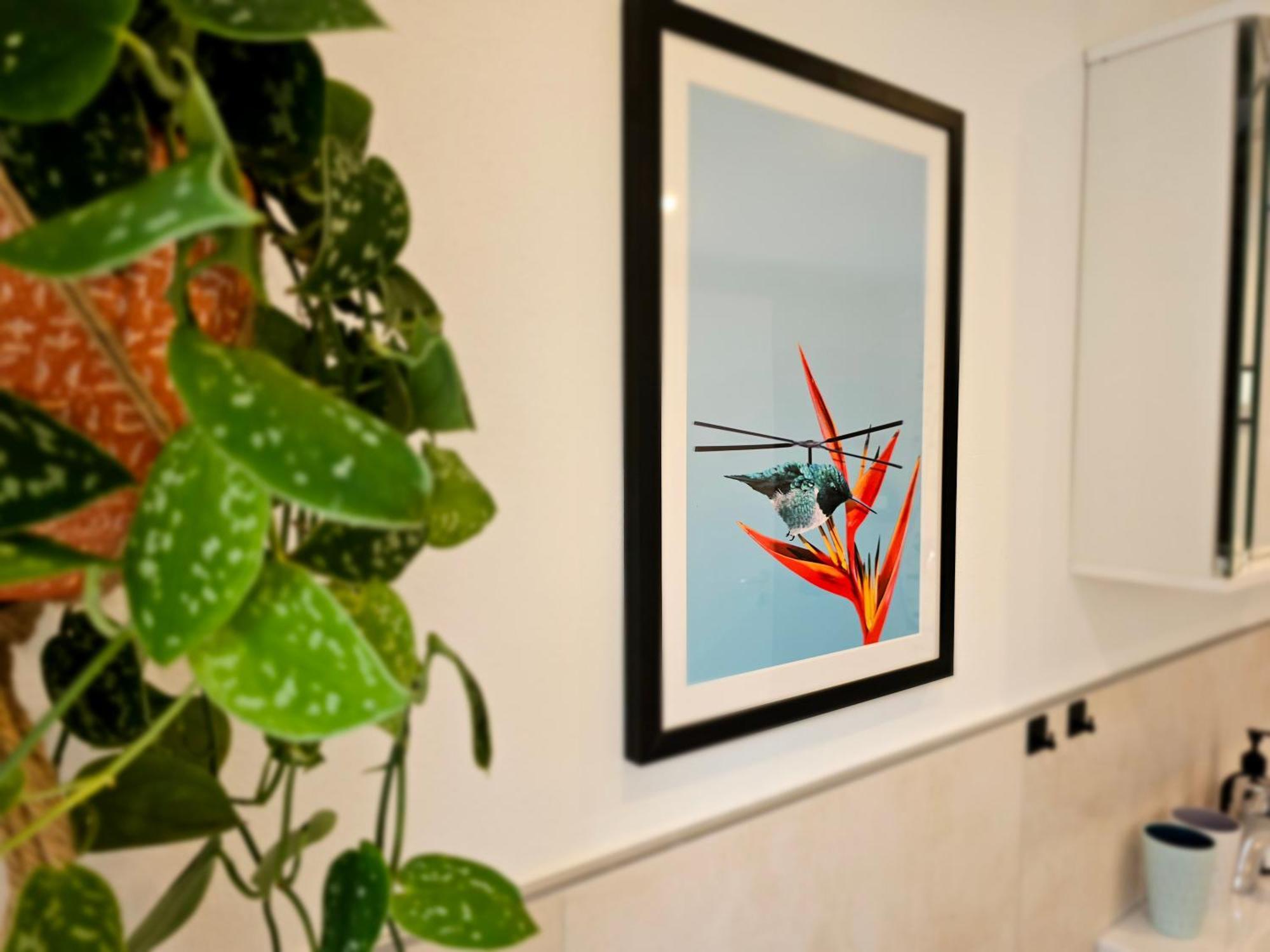 Kolibri - Design Maisonette - Nintendo Switch, Streaming, Bikestore, E-Wallbox Marburg Luaran gambar