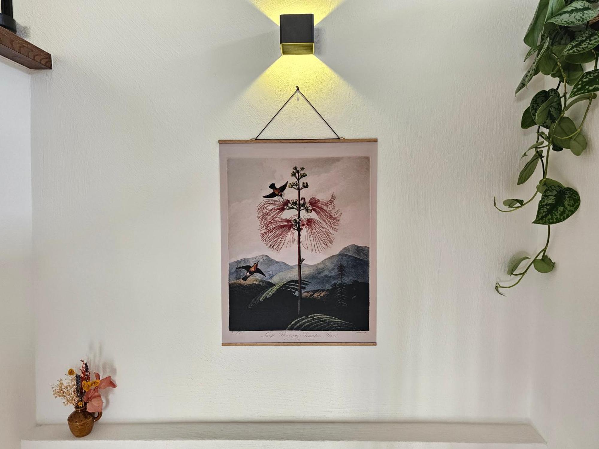 Kolibri - Design Maisonette - Nintendo Switch, Streaming, Bikestore, E-Wallbox Marburg Luaran gambar